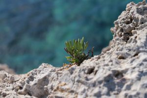 Percorso-naturalistico-alliste-hotel-jonico-2