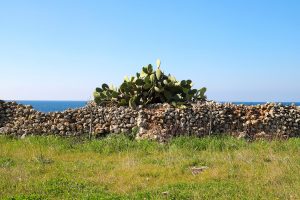 Percorso-naturalistico-alliste-hotel-jonico-2